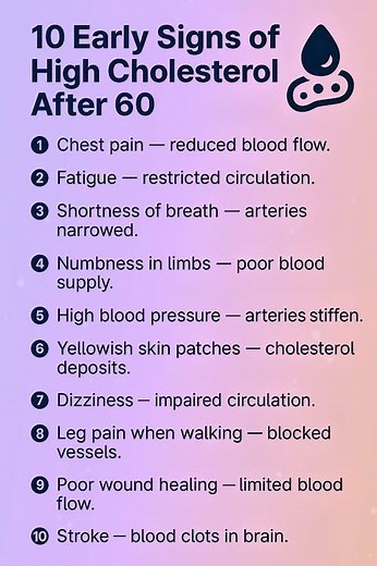 🩸 10 Early Signs of High Cholesterol After 60 | Don’t Ignore These Warnings