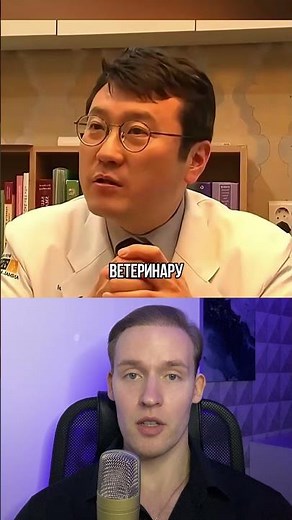 Why couldn't the cat sleep?😢