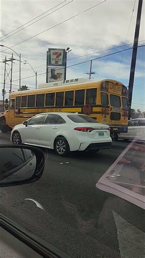 2017 blue bird vision #175108