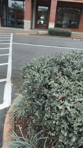 Exploring 'Kiss of The Basilisk' on a Rainy Day