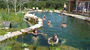 Natural Pools – The Pros & Cons of Going Au Naturel