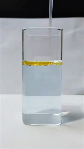 Incredible Budget Buys from Temu You Won't Believe