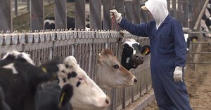 Plan would create Dairy Innovation Hub on UW campuses