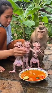 8.3K views · 51 reactions | Don't poop in my soup | Fresh diy | Facebook