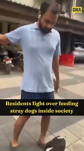 3.3K views · 13 reactions | Watch viral video of a guy fighting over feeding stray dogs #DNAVideos | #viral | #viralvideo | #watch | #straydogs | #dogs | #latest | #fighting | DNA India | Facebook