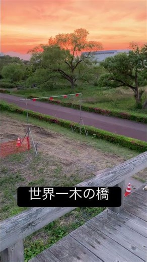 静岡の絶景、蓬莱橋。夕暮れ時は別世界でした。#shorts #旅行 #蓬莱橋 #japan #ひとり旅 #静岡