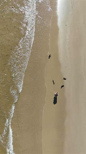 Up above the world so high ⭐️ It’s been one months since I got the drone and I am so glad I finally made that decision. It is so lovely to see all our favourite places, our walks and our adventures from up above and I cannot wait for more.🥰 Do you enjoy seeing our drone footage? #drone #dronevideo #dji #djidrone #dogadventures #upabove #birdeyeview #ouradventures #happydogs #dogmomlife #dogmom #swimmingdog #beachwalk #norfolk #dog #dogsofinstagram #dronestagram #dogvideos #dogvideo #dogreels #d