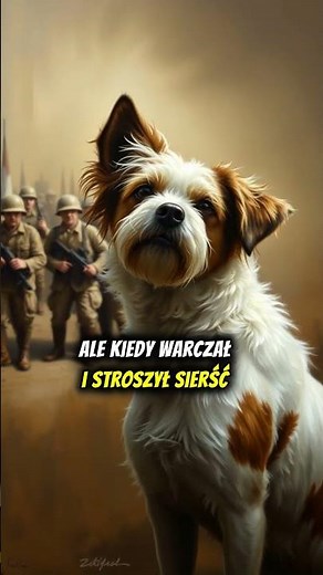 Gunner – Pies Bohater II Wojny Światowej