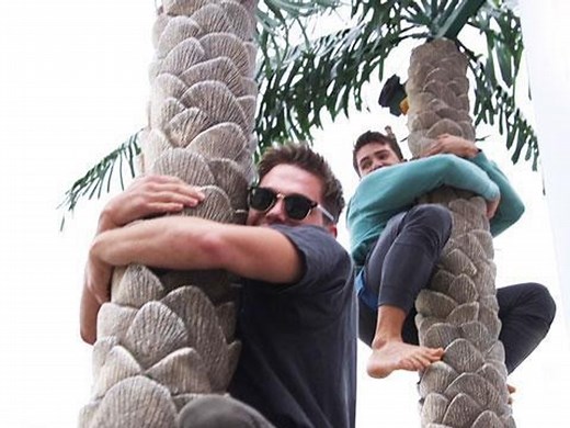 Cody Christian & Dylan Sprayberry Shimmy Up Coconut Trees