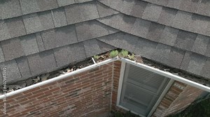 Small trees begin growing in metal gutters clogged with leaves and debris on a red brick residental house.