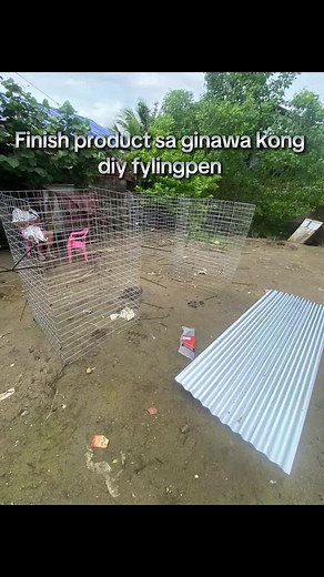 DIY Flying Pen Project: Easy Home Craft