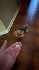 11K views · 1K reactions | Breakfast of the #1 storm chaser | Reed Timmer Extreme Meteorologist | Facebook