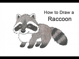 How to Draw a Raccoon (Cartoon)