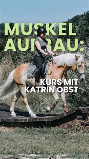 📆 Kraft, Ausdauer oder allgemeine Fitness: Was steht aktuell bei eurem Pferd auf dem Trainingsplan? 🧐 Wenn ihr euer Pferd gezielt kräftigen und gleichzeitig fit halten möchtet, haben wir genau das Richtige für euch! 💪🐴 Im Kurs „Muskelaufbau und Pferdefitness: Übungen für jeden Tag“ zeigt euch Katrin Obst, wie ihr mit abwechslungsreichen und alltagstauglichen Übungen die Muskulatur eures Pferdes stärkt und seine Fitness nachhaltig verbessert. 🏋🏽✨ 💡 Von Fitness-Check über Crossfit fürs Pfer