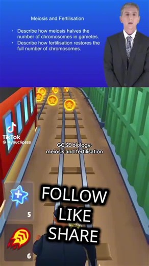 GCSE SCIENCE MEISOS AND FERTILISATION @GCSE Maths Tutor