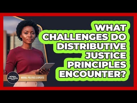 What Challenges Do Distributive Justice Principles Encounter?