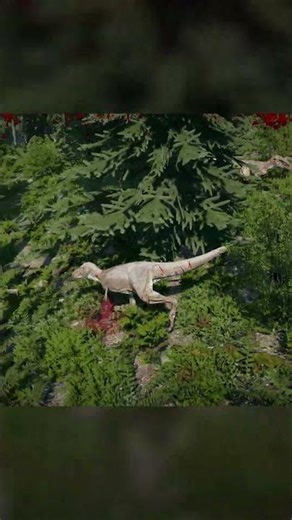 First World Problems