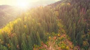 Aerial Drone Footage View Flight Over Stock Footage Video (100% Royalty-free) 21477814 | Shutterstock