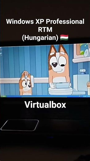 Windows XP Professional RTM (Hungarian) in Virtualbox