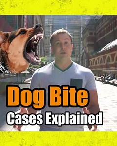 🔝🐕 Top Dog Bite Lawyer? ↪️Here's what you need to know about Dog Bite cases | TopDog Law