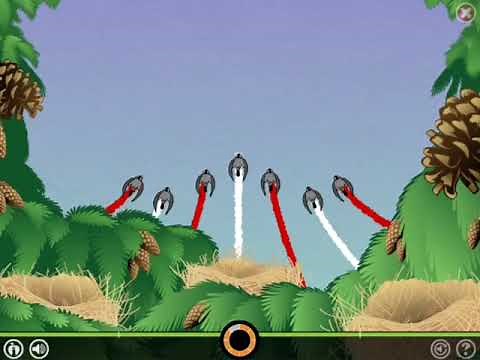 Lexia Level 11 Completed