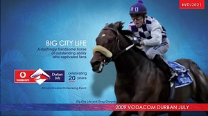 2.8K views · 67 reactions | BIG CITY LIFE: He was a horse of...