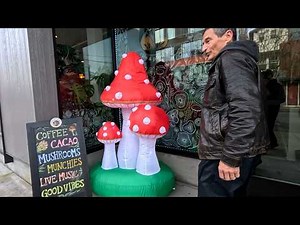 Going to a Mushroom Cafe in Portland