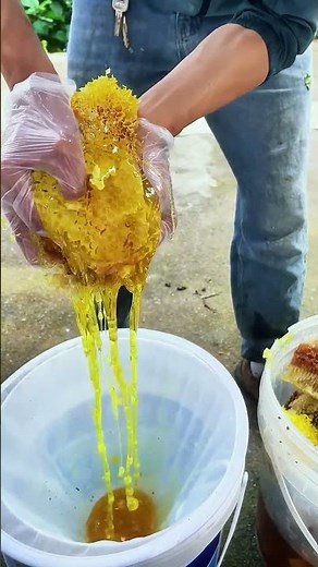Extracting honey by squeezing and filtering for clean output