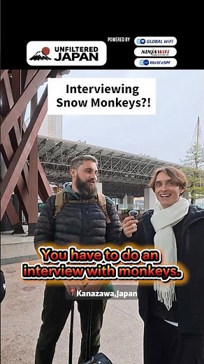 Japan’s Best Winter Experience: Snow Monkeys ❄️🐒 #japantravel #streetinterview #unfilteredjapan