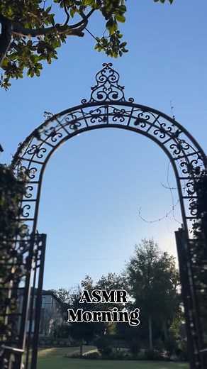 🌅A little ASMR for your day - Sometimes, the 5AM club can be quite relaxing. Enjoy the silence. Loving my stay at Jubilee Suites in Fairhope. Beautiful Zen. | MeduSirena - Marina the Fire Eating Mermaid