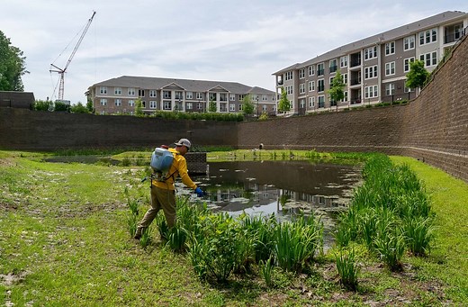 Stormwater Management Atlanta — Dragonfly Pond Works