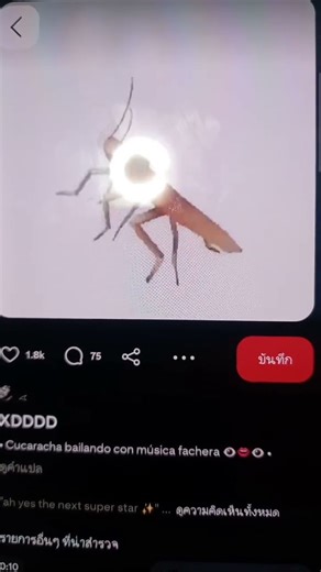 cockroach dancing #funny #memes #insects