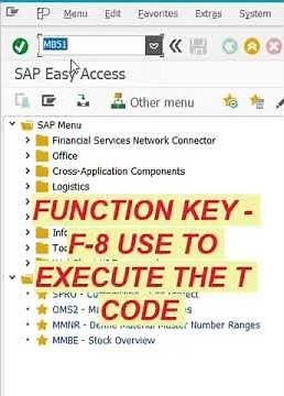 Use of Function Key F8 in SAP