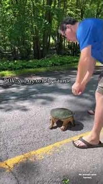 Nobody told me turtles could be this fast 🐢💨 #funny #foryou #animals #turtle #wildanimals
