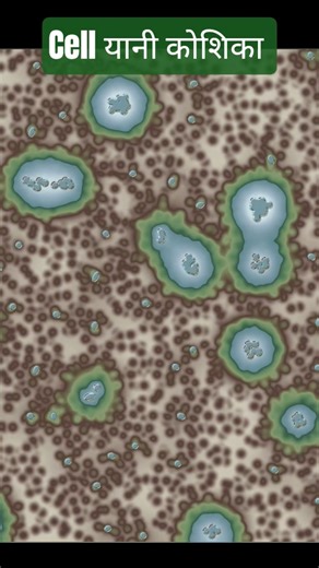 Cell Ki Paribhasa | The biggest mystery of our body: What is a cell?