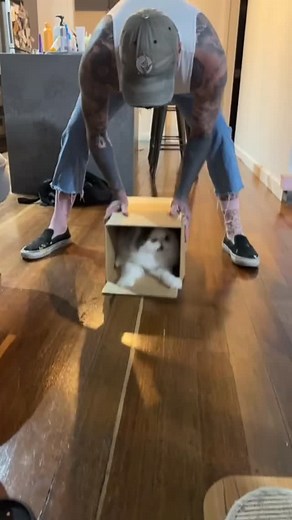 80 shares | Fun Frame presents: Daily dose of laughter!  Watch till the end — you can’t stop laughing! Follow for more funny, relatable & super entertaining videos every day! ✨ Drop a comment and share with friends!" #FunFrameLaughs #FunnyVideos #LaughOutLoud #ComedyTime #ViralClips #USAFunny | Fun Frame | Facebook