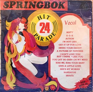 Unknown Artist - Springbok Hit Parade 24