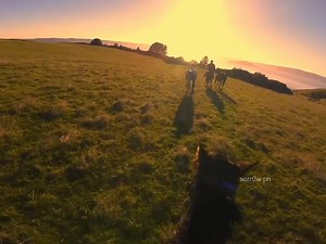 889K views · 10K reactions | Restless Road, Kane Brown - Take Me Home | Ｓｏｒｒｏｗ | Facebook