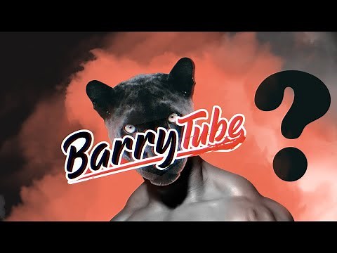 من هو باري ؟؟؟ 10 حقائق ربما لا تعرفها عن باري تيوب | BarryTube