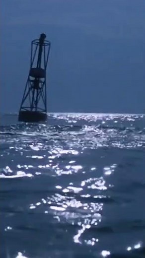 Letzter Schwimmgang | Jaws - Der weiße Hai | Shorts| Screen Schnipsel