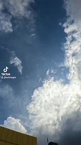 23K views · 422 reactions | Jack's PNG Kokopo at New World Plaza  ✨️ #JacksPNG #newworldplaza #ShopNow #foryoupageシ | Kuri Images | Facebook