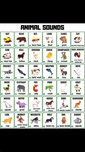 Animal Sounds | Sophai Creator Share