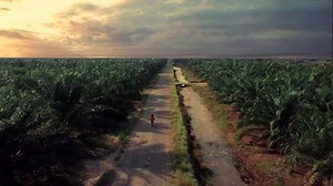 Sayangi Sawitku Dr Wan Azizah Wan Ismail @teresa_kok #mYMPI #myCommodity #lovemypalmoil #lovemypalmoilcampaign | Kementerian Perladangan dan Komoditi - KPK