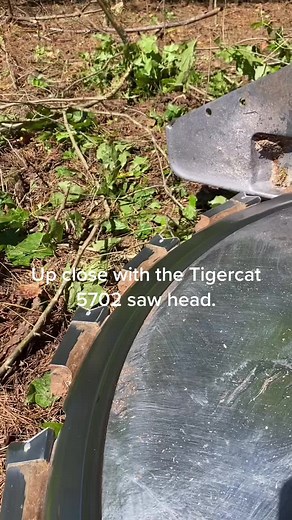 cutterman830 on TikTok