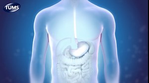 TUMS Chewy Delights Ultra Strength Very Cherry Antacid Soft Chews 6 count