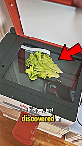Testing a $500 Printer with... Lettuce? 🖨️
