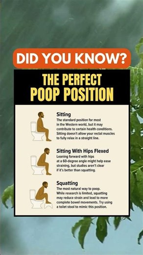 The Best Poop Position? Let’s Break It Down 🚽💩