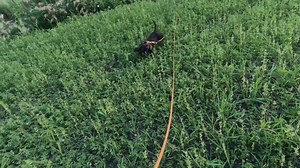 23 reactions · 3 comments | This was Red-ee ‘s eleventh practice...