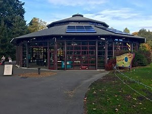 Watching Woodland Park Zoo Carousel in Seattle, Washington