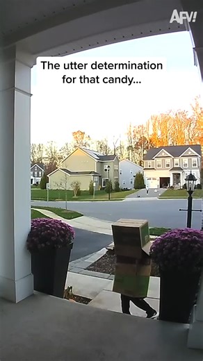 120K views · 1.8K reactions | Where there's a will, there's a way! 藍 #afv #fail #funny #Halloween | America's Funniest Home Videos | Facebook